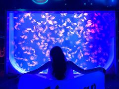 -沈阳海洋探索中心