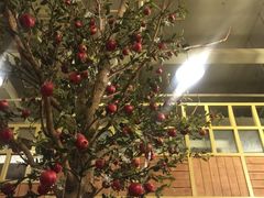 -Cafe Alice咖啡爱丽丝(奥城店)