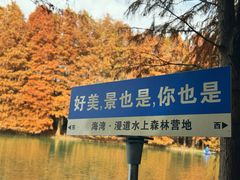 -上海海湾国家森林公园