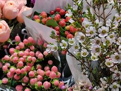 -双季花艺园艺市场(浦东店)