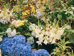 -花二家·生活馆(六运小区店)