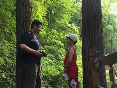 -望天鹅景区