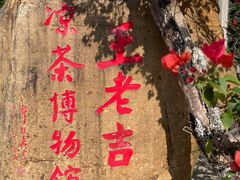 -广州神农草堂中医药博物馆