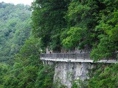 -光雾山旅游景区