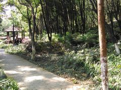 -重庆彩云湖湿地公园