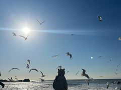 -老虎石海上公园