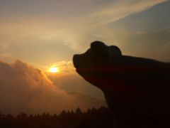 -白草畔自然风景区