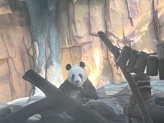 -泉州海丝野生动物世界