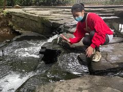 -大屏嶂森林公园