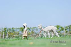 -DORA kids 朵拉儿童摄影花园店