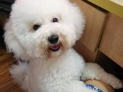 -桂桂茶(滨江百联店)