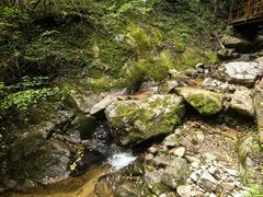 -青峰峡国家森林公园