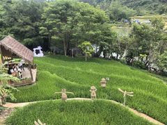 -明仕田园