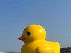-深圳人才公园