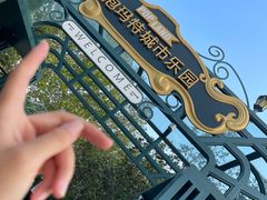 -朝阳公园游乐园