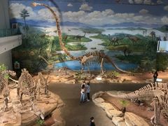 -自贡恐龙博物馆