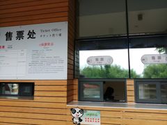-都江堰中华大熊猫苑