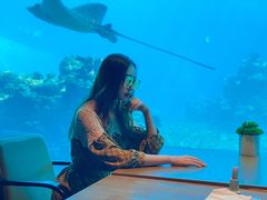 -海棠湾洲际-涛·海底餐厅·美人鱼·自助餐·海底隧道