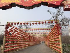 -北京凤凰岭