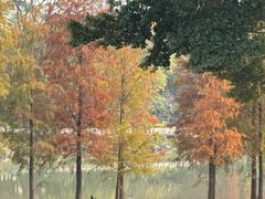 -怡海公园(桂城街道)