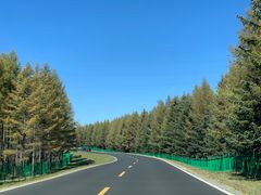 -塞罕坝国家级自然保护区