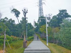 -金鸡山公园