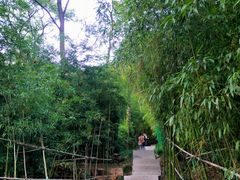 -竹子庵公园
