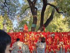 -大槐树寻根祭祖园