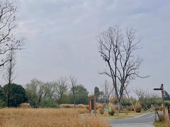 -良渚古城遗址公园