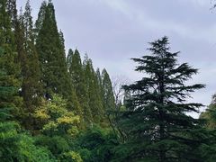 -花溪公园