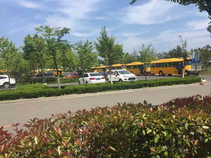 小虎啦叨叨-"一直知道兴县的拉叨叨,但不知道谁家的正宗.