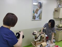 -美联众合动物医院·24h转诊中心