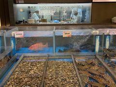-船歌·鱼水饺青岛菜(闽江二路店)