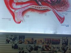 -自然之声助听器(平凉店)