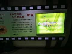 -上海昆虫博物馆
