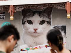 -方浜中路45弄小区