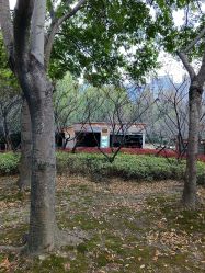 -剑鱼皮划艇俱乐部(石湖基地)