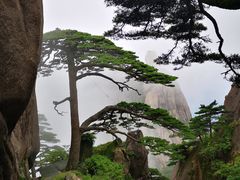 -黄山玉屏楼宾馆餐厅