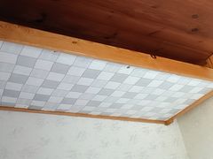 -金山农民画村-枫泾波兰倒置屋