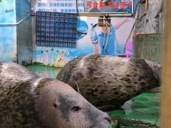 -嘉兴海底世界