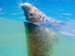 -青岛海底世界-水族馆