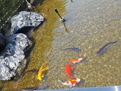 -观宴·品质赣菜(高新大道店)