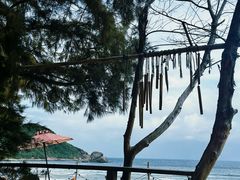 -后海村