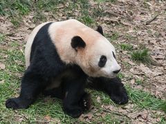 -杭州动物园