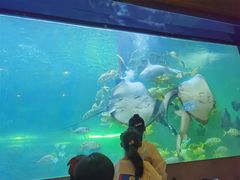 -洛阳龙门海洋馆