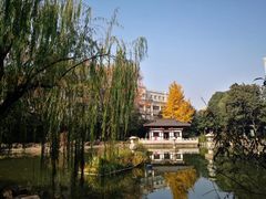 -铜陵市铜官山森林公园