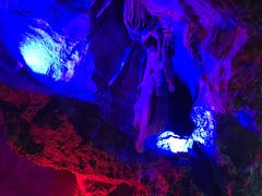 -梦幻奥陶纪景区