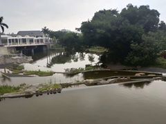 -厦门国家会计学院