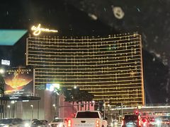 -拉斯维加斯永利酒店