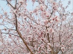 -太阳宫公园